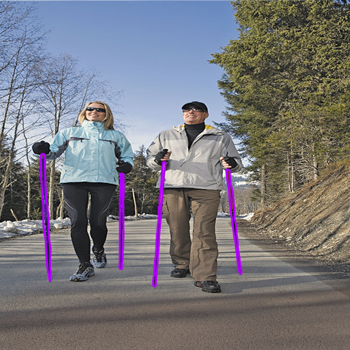 walking assist